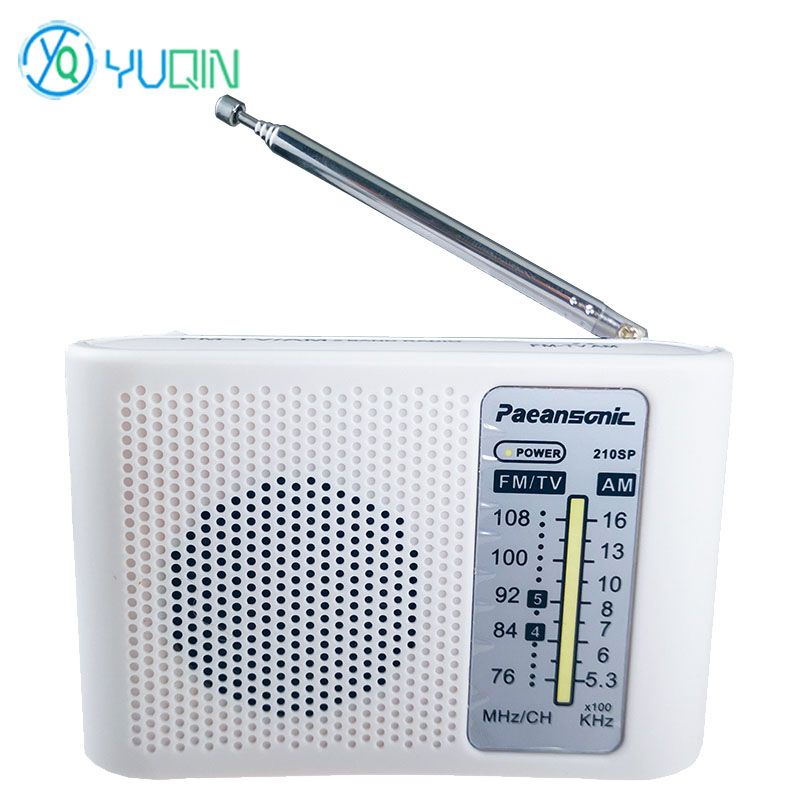 210SP AM/FM Radio Kit DIY Elec – Diy Electronics Projects For Beginners Bewertung und Preis